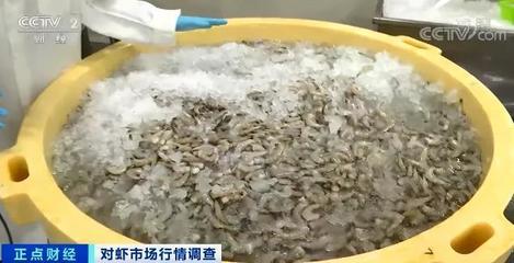 這種海鮮賣爆了！價格竟然腰斬！你買過了嗎？