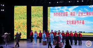 共譜知青情 同筑文旅夢(mèng)——南通知青在首屆泛長(zhǎng)三角知青之歌文化旅游節(jié)中的文化交流與傳承
