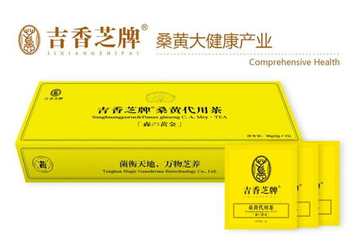 桑黃茶全國(guó)區(qū)域代理商招募 誠(chéng)邀合作伙伴，共享健康茶飲藍(lán)海市場(chǎng)